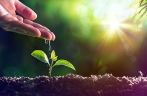 TRATAMIENTO PROBIOTICOS-PREBIOTICOS
