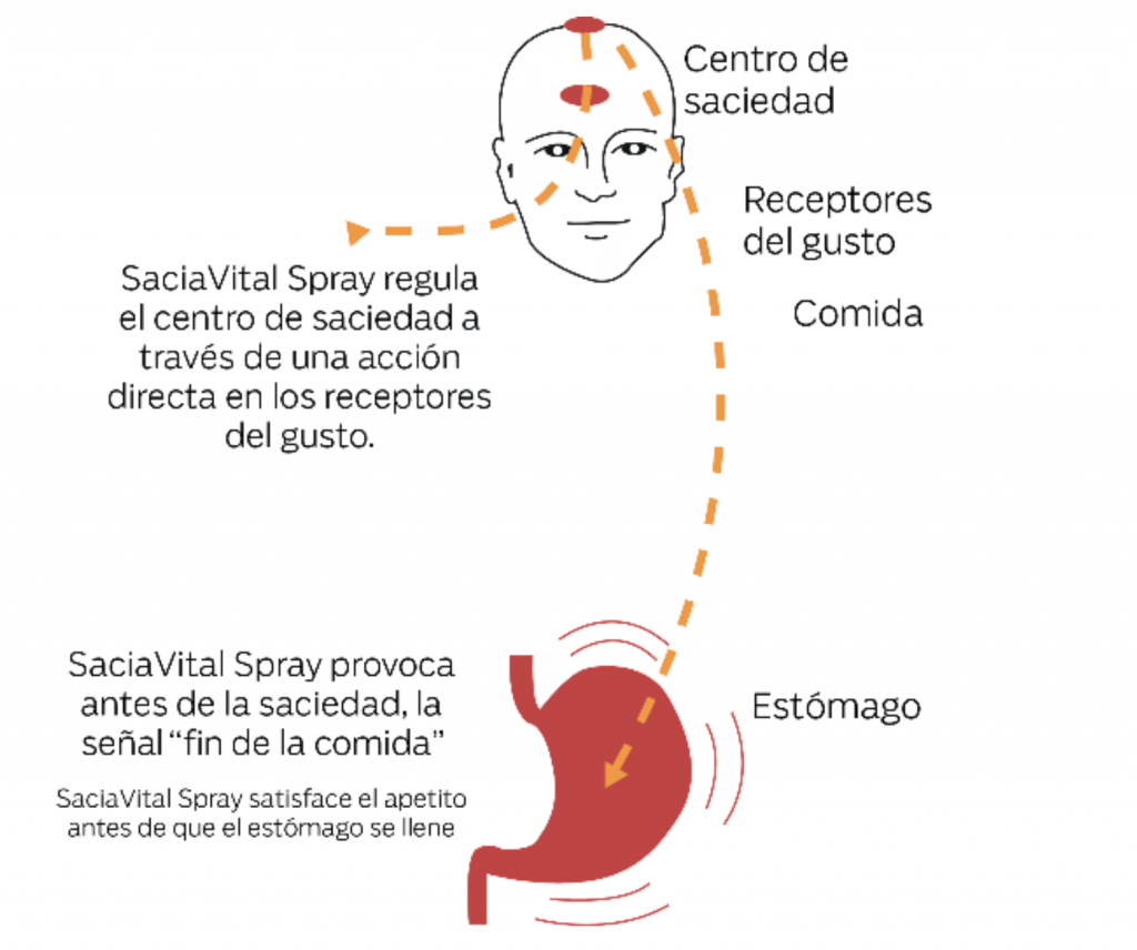 Regulación de saciedad